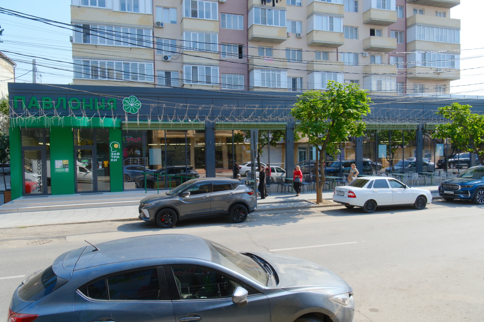 Павлония на Керимова